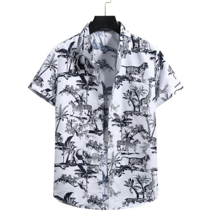 H50df1acc2b524404b8e0793418ab8620l.jpg